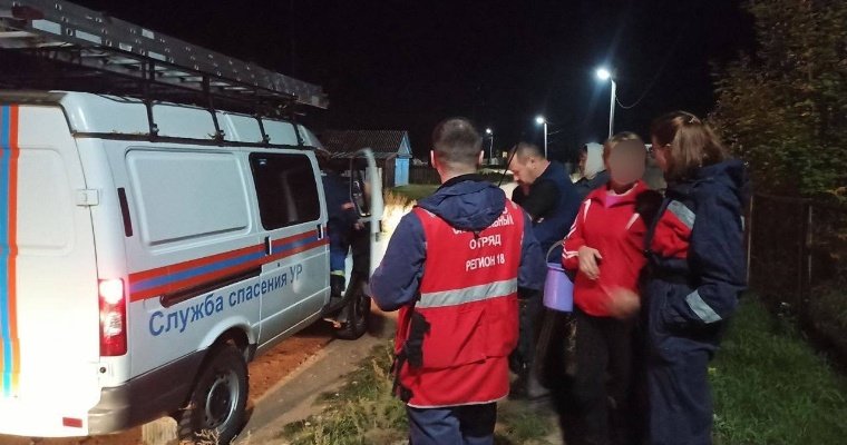 Спасатели помогли заблудившимся в Завьяловском районе грибникам