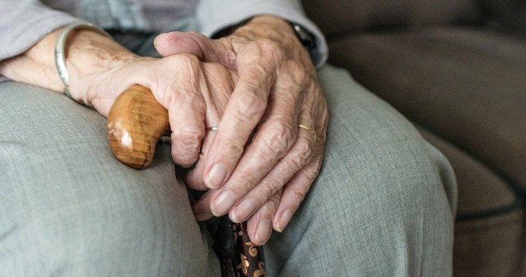 Работники интернатов Удмуртии проходят обучение по долговременному уходу за пожилыми
