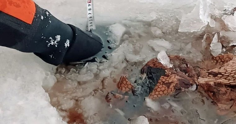 Во льду Воткинского пруда обнаружили тело рыбака