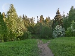 В Удмуртии сохраняются природные очаги хантавируса