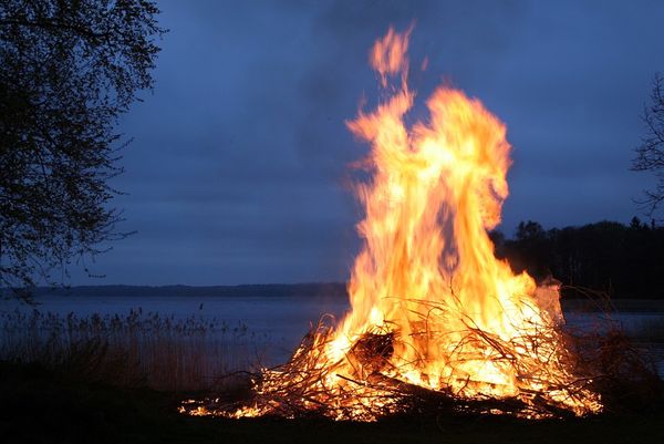 Пожароопасный сезон в Удмуртии объявили закрытым