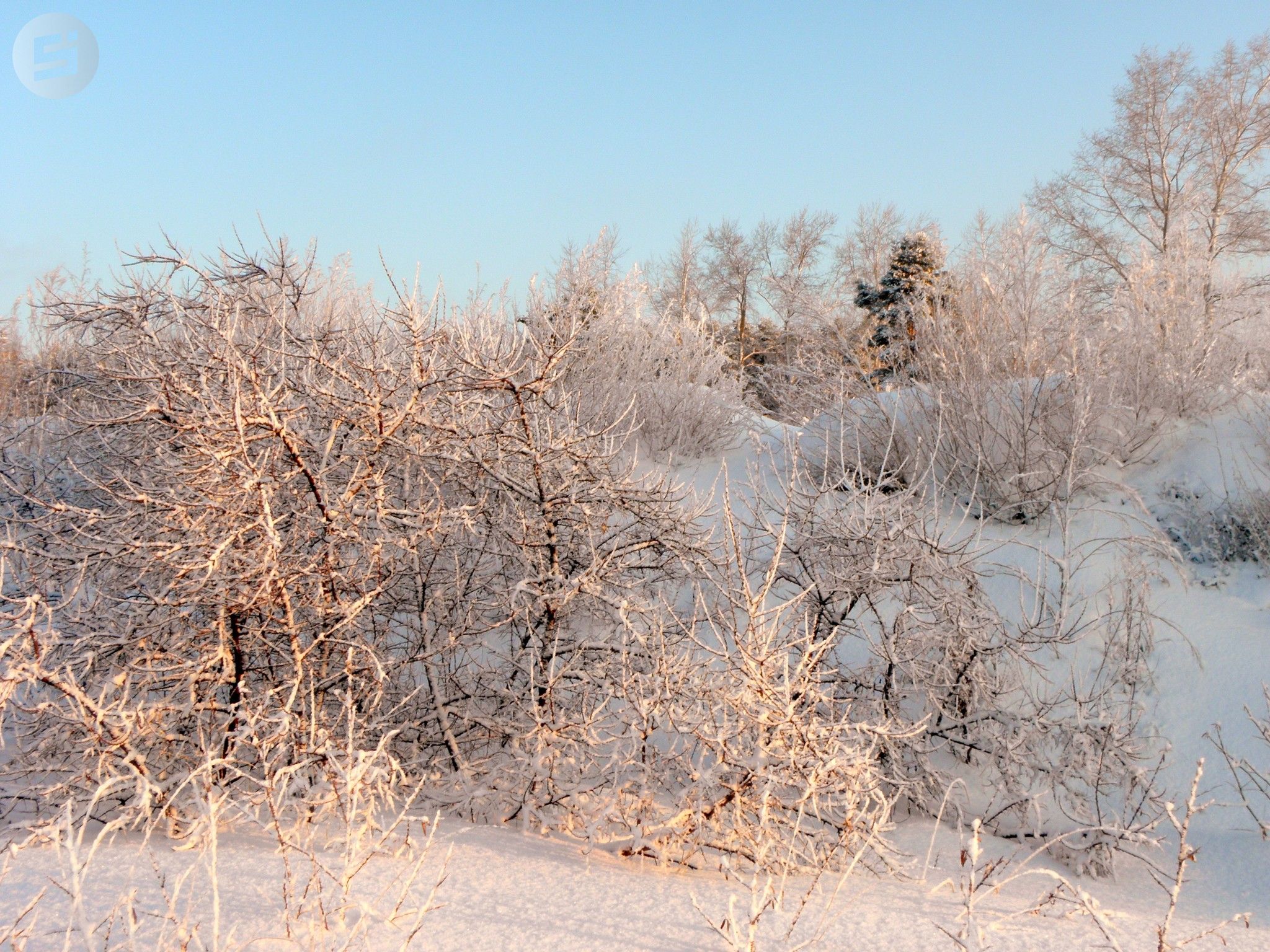 Когда потеплеет в ижевске