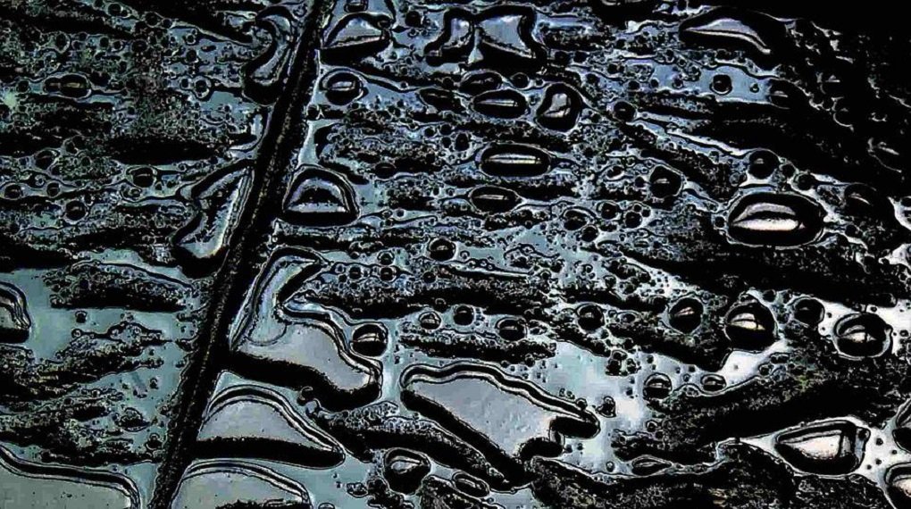 Около тысячи кубометров нефти вылилось в реку в Коми 