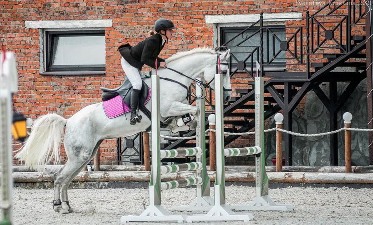 

Спортсмены из Удмуртии заняли призовые места на конных соревнованиях в Перми

