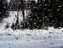 Дождь и мокрый снег ожидаются в Удмуртии в среду