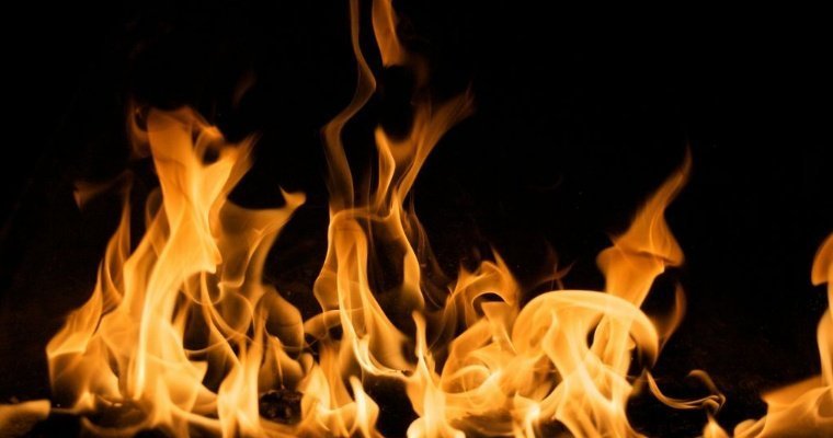 В Подмосковье сгорела семья из Удмуртии