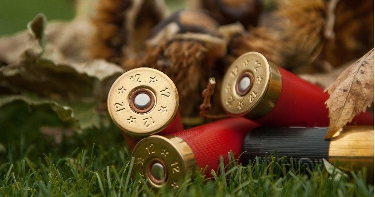 В Удмуртии за три дня выявили 29 нарушений правил охоты и обращения с оружием