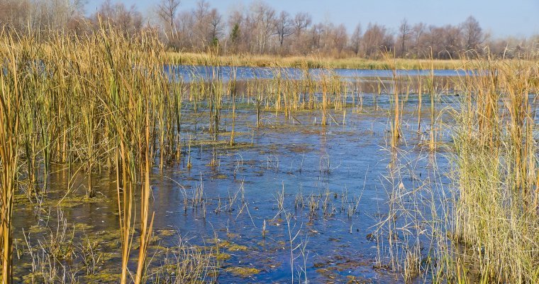 Всю неделю в Удмуртии будет холодать