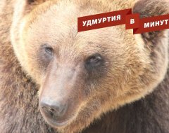 Удмуртия в минуту: переселение из аварийного жилья и наступление весны