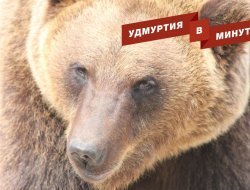 Удмуртия в минуту: переселение из аварийного жилья и наступление весны