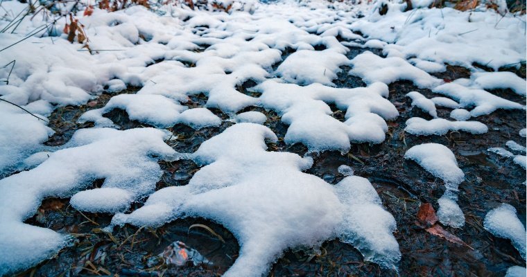 Глубина промерзания почвы в Удмуртии оказалась ниже нормы 