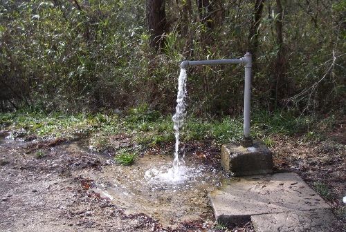«Ижводоканал»: артезианская вода вредна для здоровья