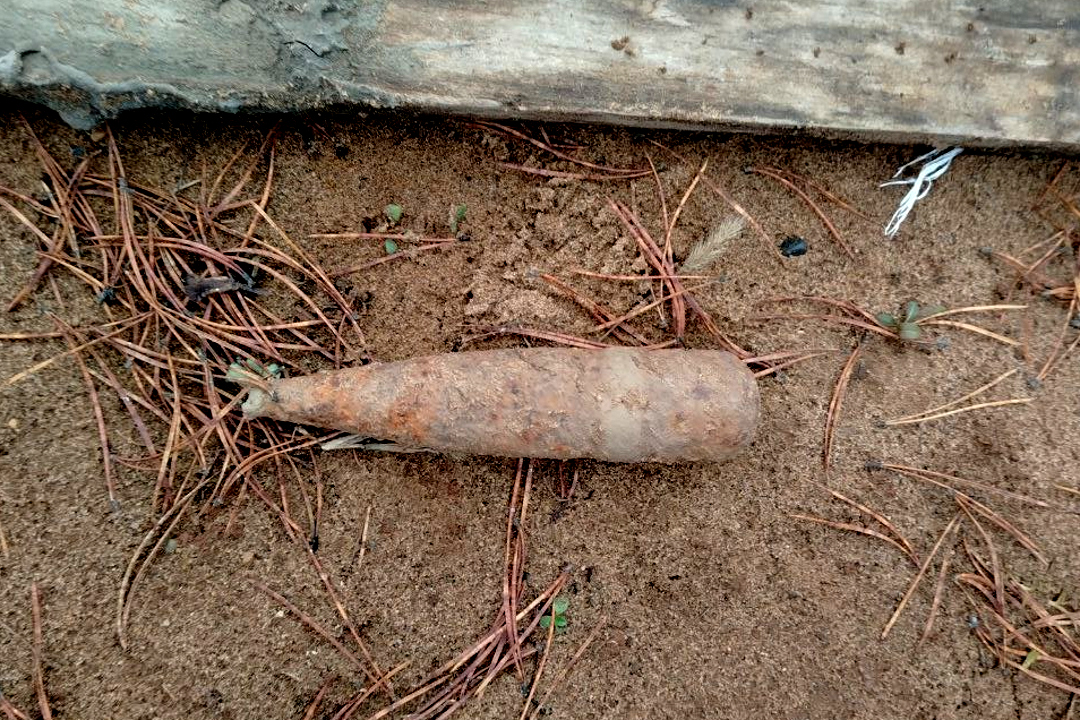 В Удмуртии ликвидирован опасный артиллерийский снаряд, найденный на приусадебном участке