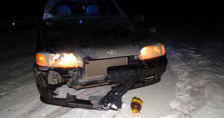 В Удмуртии пьяный водитель сбил пешехода-нарушителя