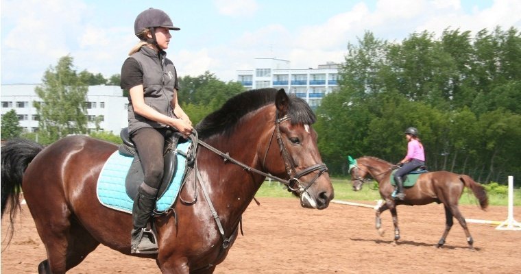 На ижевском ипподроме возобновят индивидуальные занятия с лошадьми