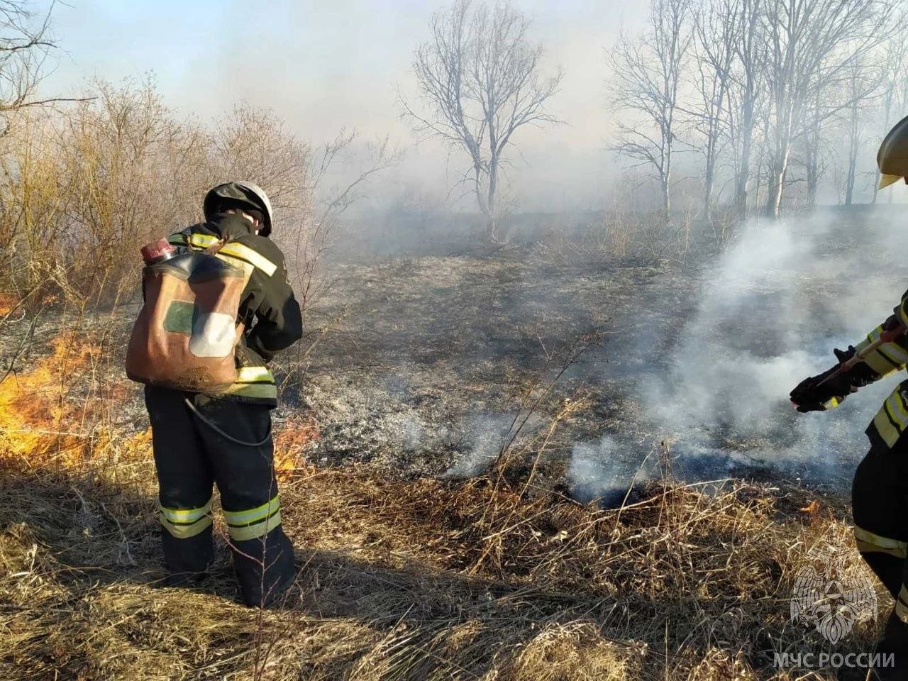 Спасатели ликвидировали два крупных природных пожара в Камбарском и Завьяловском районах