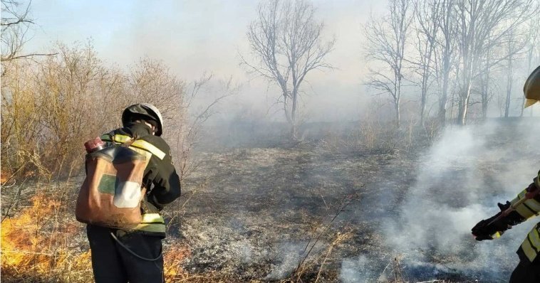 Спасатели ликвидировали два крупных природных пожара в Камбарском и Завьяловском районах