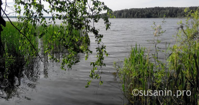 На водных объектах Удмуртии в 2018 году погибло 18 человек