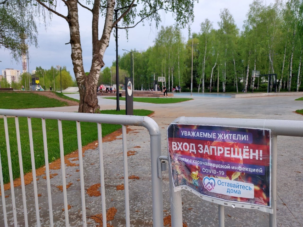 Ослабление режима самоизоляции в Удмуртии, отмена общих перемен в школах и надпись в небе над Новосибирском: что произошло минувшей ночью