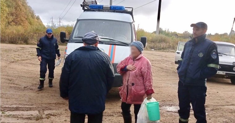 Спасатели помогли двум заблудившимся в лесу Завьяловского района грибникам