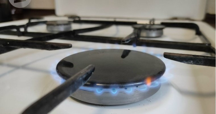В Удмуртии предложили увеличить субсидию на догазификацию домов 