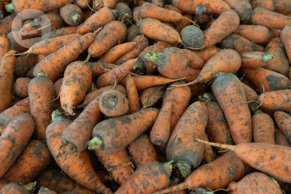 В июне в Удмуртии продолжили дорожать морковь, свёкла и картофель