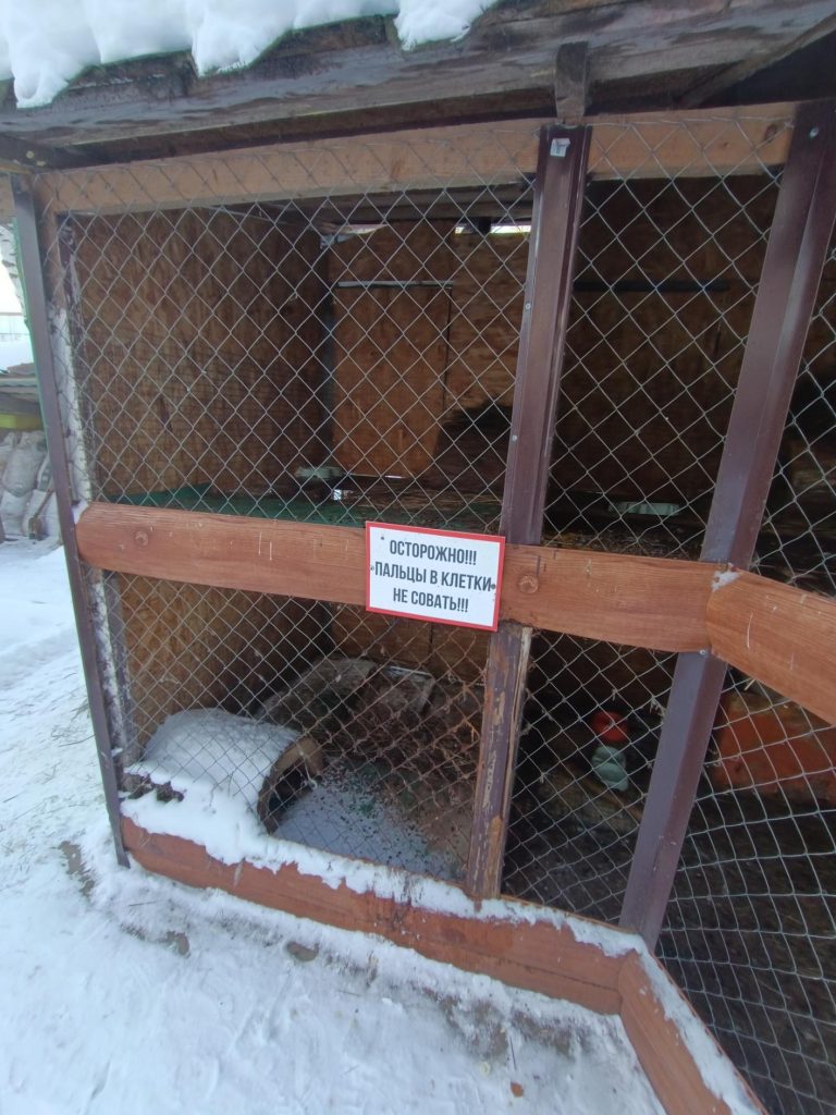 Владелица мини-зоопарка в Парке Космонавтов Ижевска заплатит штраф за ненадлежащее содержание животных 