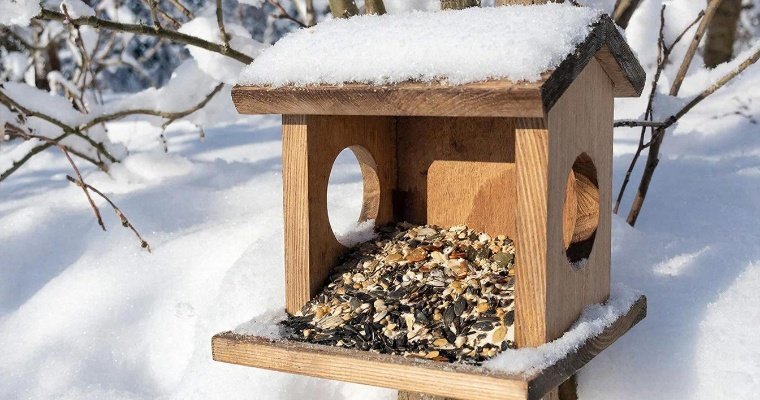 Ветеринары Удмуртии дали совет, чем лучше подкармливать птиц зимой 