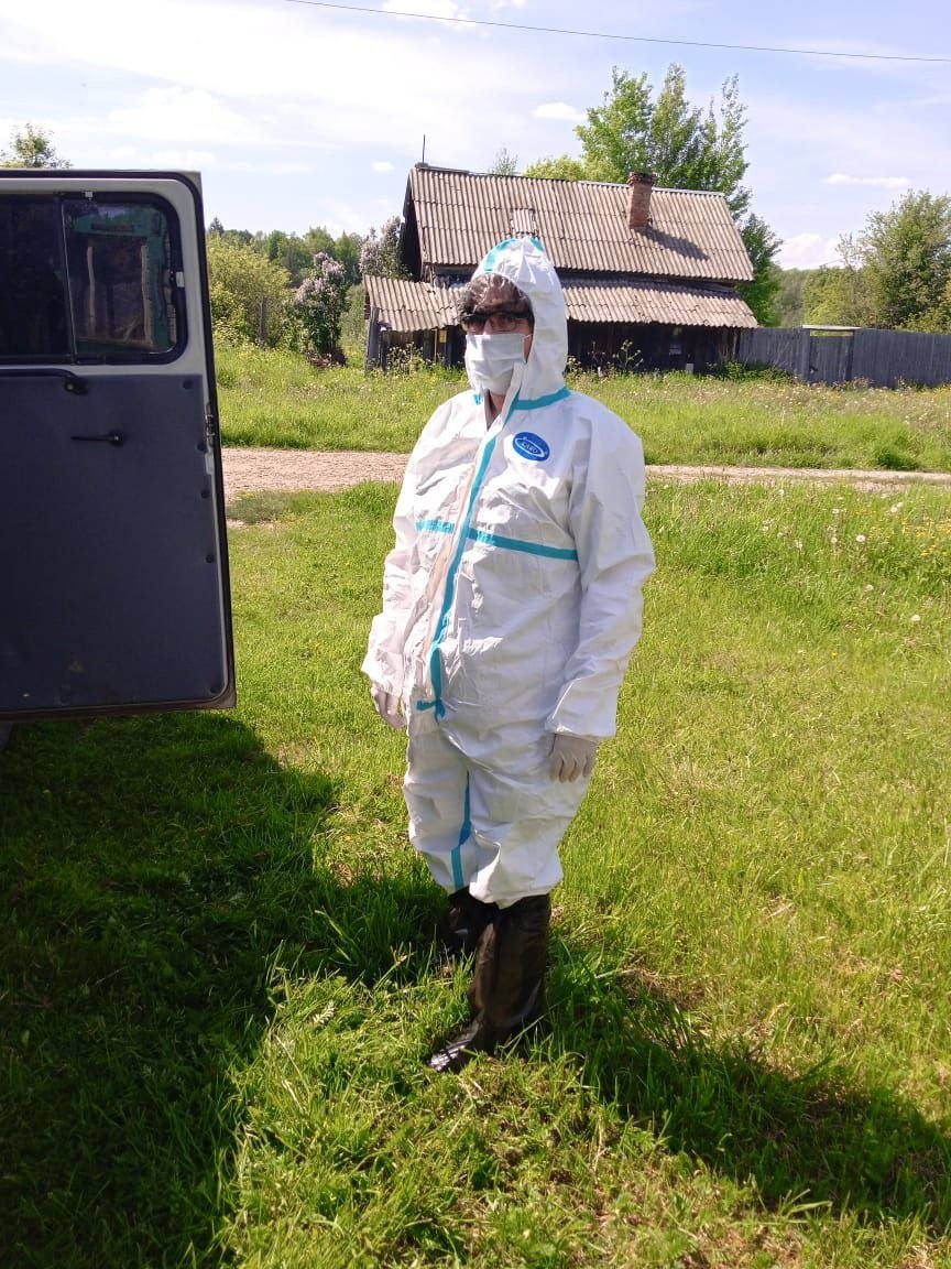 Домашняя собака умерла от бешенства в Увинском районе Удмуртии