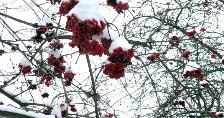 До -19 градусов ожидается в Удмуртии днём 13 декабря
