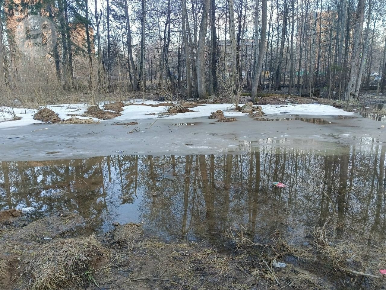 Днём 15 апреля в Удмуртии ожидается до +13 градусов