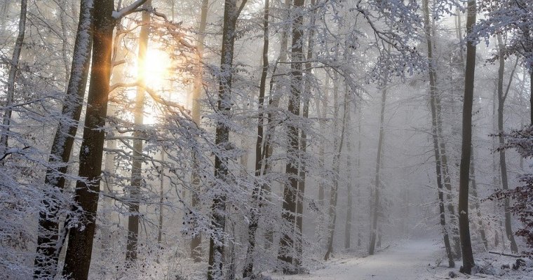 Туман и небольшой снег ожидается в Удмуртии в среду