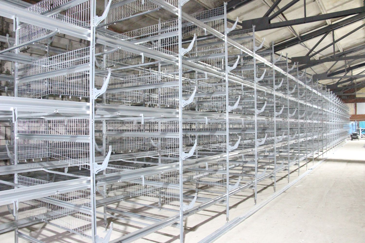 На Сарапульской птицефабрике введут в эксплуатацию корпус на 70 тысяч кур-несушек