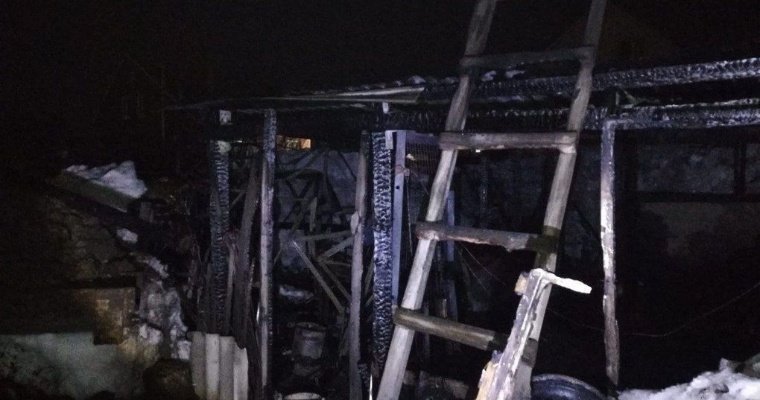 В Сарапуле в пожаре на улице Добролюбова погибли поросята