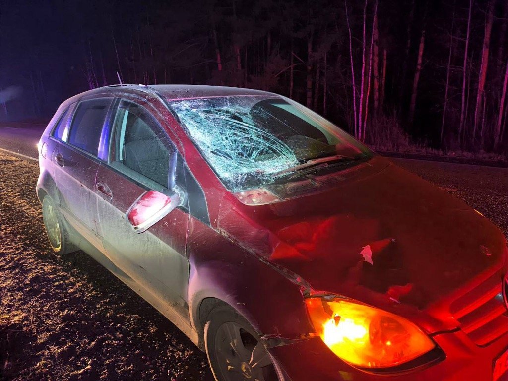 На трассе «Ижевск—Воткинск» в Удмуртии погиб пенсионер