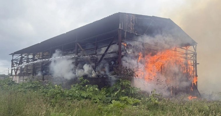В Вавожском районе сгорели более 1 000 тюков сена