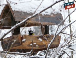 Итоги дня: продление ареста отцу и сыну Кутдузовым в Ижевске, достижения Алины Загитовой и забота о птицах зимой