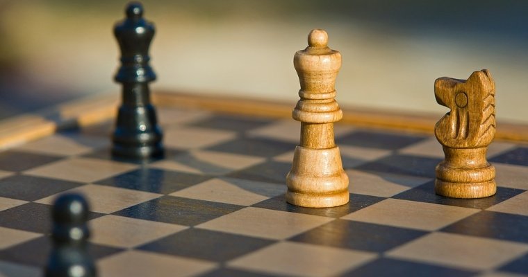 Второй в России ресурсный центр развития шахматного спорта откроют в Удмуртии
