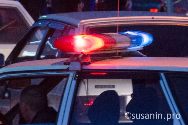 В Германии произошла массовая драка местных жителей с мигрантами