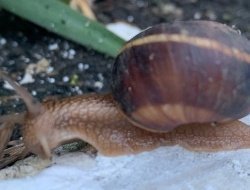 До +25 градусов прогреется воздух в Удмуртии 17 июля