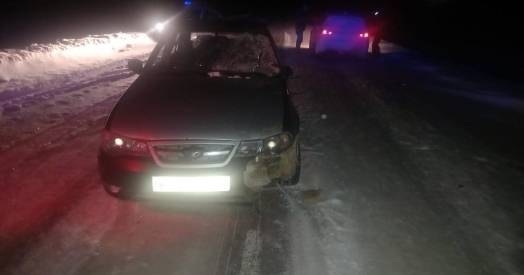 В Можгинском районе легковушка насмерть сбила 63-летнего пешехода 