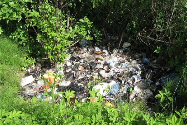 Штрафы за мусор и стихийные рынки в Ижевске многократно возрастут