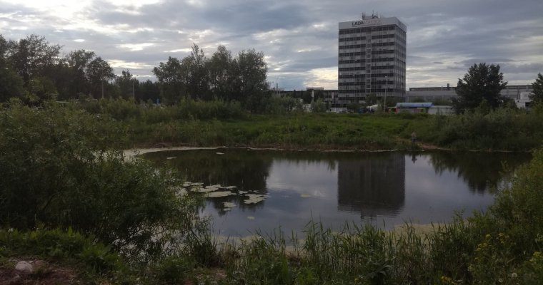Городские власти рассмотрят варианты, как облагородить пруд на улице Автозаводской