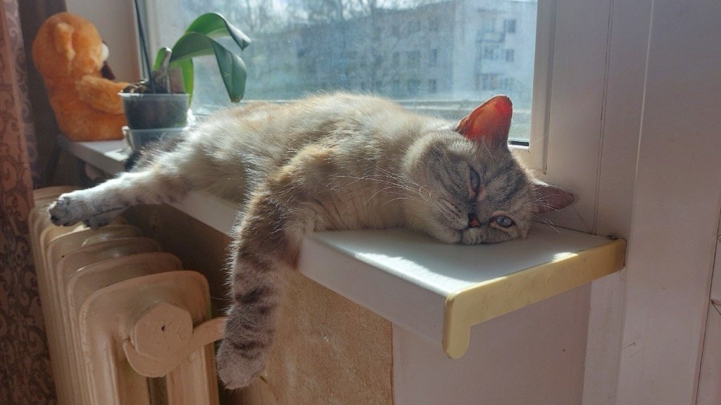 Температура воздуха в Удмуртии 20 марта поднимется до +10°С