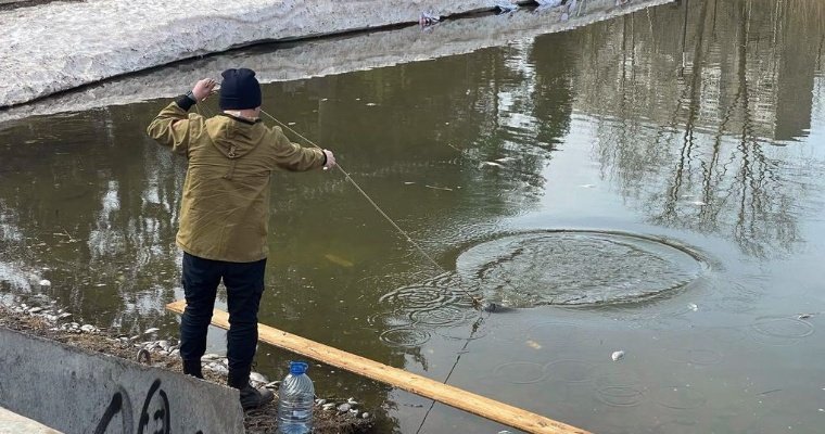 В пруду сквера Драгунова в Ижевске погибла рыба