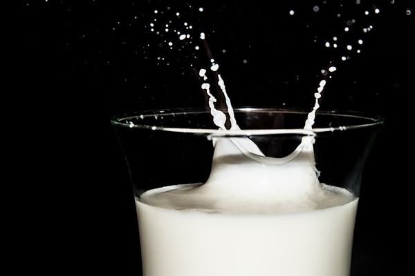 Четверть молочных продуктов в России некачественные