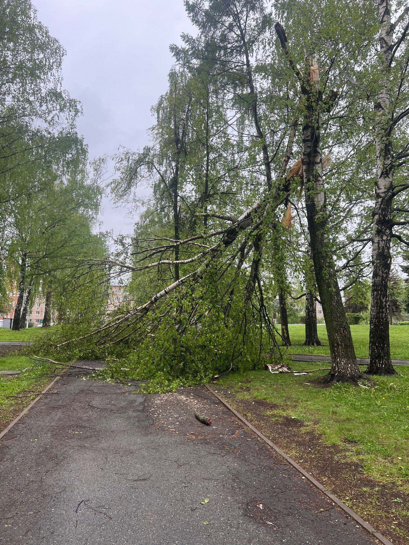 Последствия штормового ветра в Ижевске и роспуск парламента Великобритании: новости к этому часу