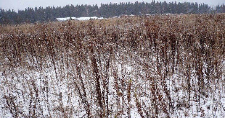 Нарушителей земельного законодательства в Удмуртии оштрафовали почти на 1,5 млн рублей