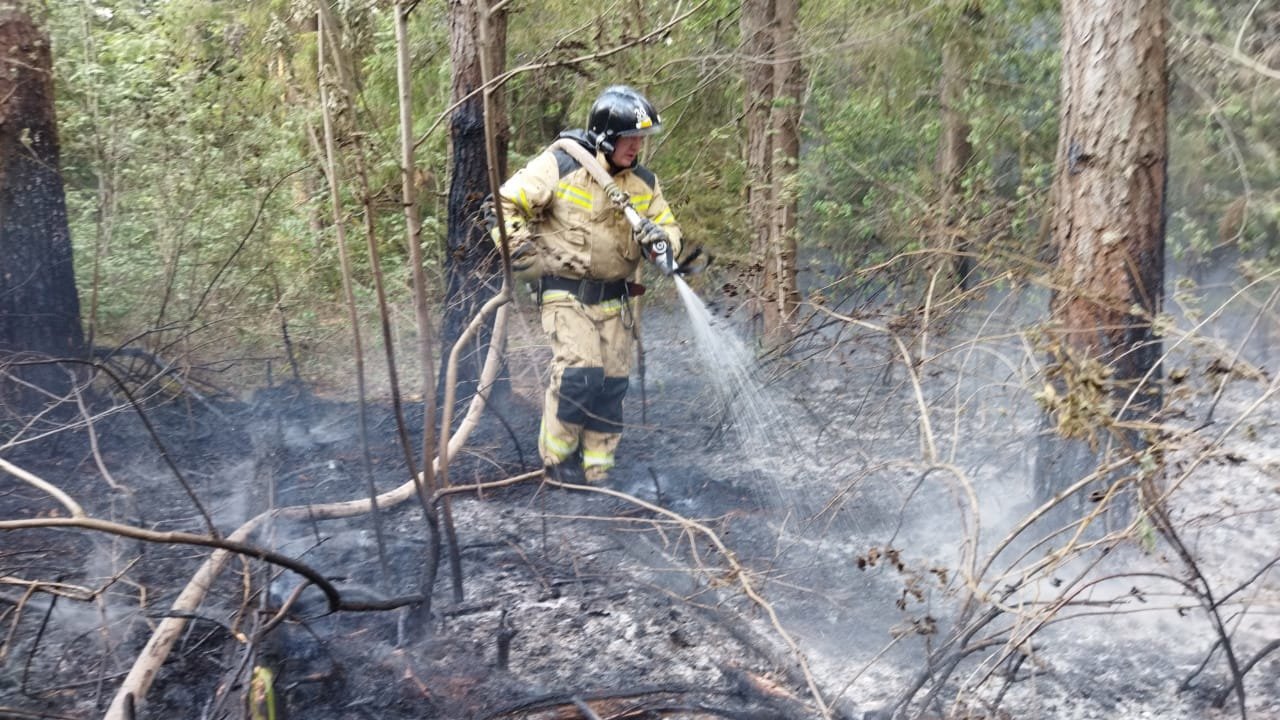 

Пожар у деревни Поварёнки в Удмуртии продолжается на территории в 45 га

