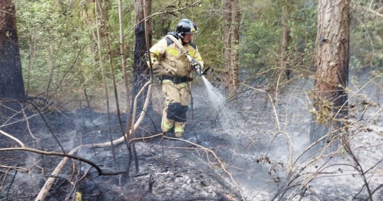 Пожар у деревни Поварёнки в Удмуртии продолжается на территории в 45 га